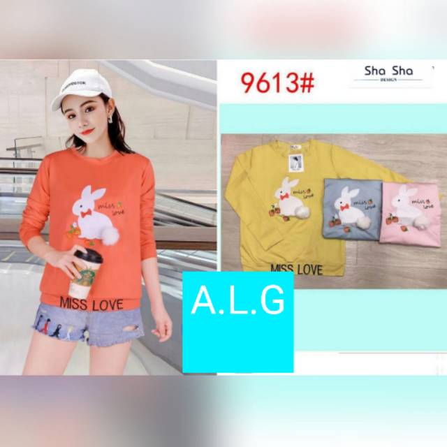 BLUS IMPORT KOREA SULAM BORDIR