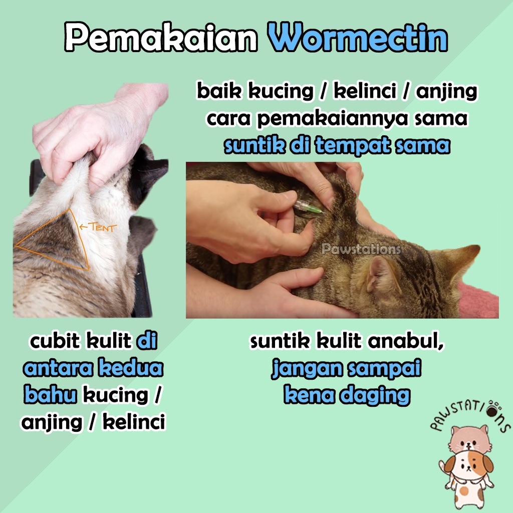 WORMECTIN 5ml Obat Jamur Kucing Obat Cacing Kucing Obat Parasit Kucing Obat Jamur Anjing Obat Cacing Anjing Obat Parasit Anjing Obat Jamur Kelinci Obat Cacing Kelinci