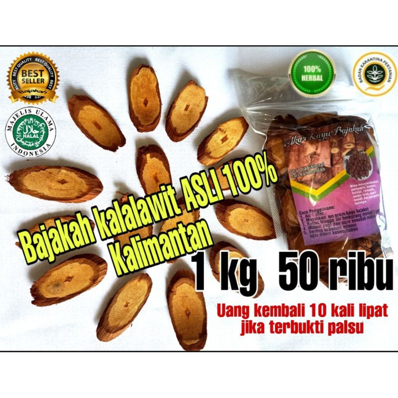 

Bajakah kalalawit asli dari Kalimantan