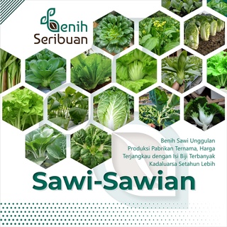 Jual STM Bibit Sayuran Sawi Sawian Benih Tanaman Sayur Hidroponik Sawi ...