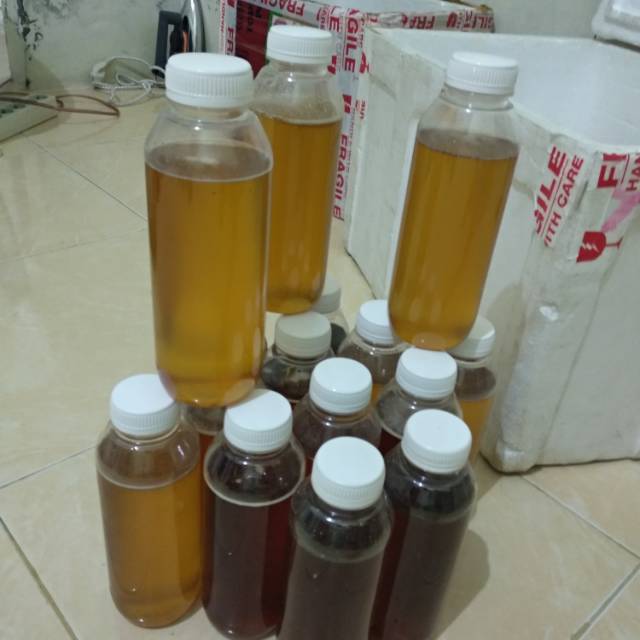 

Madu Asli Lampung