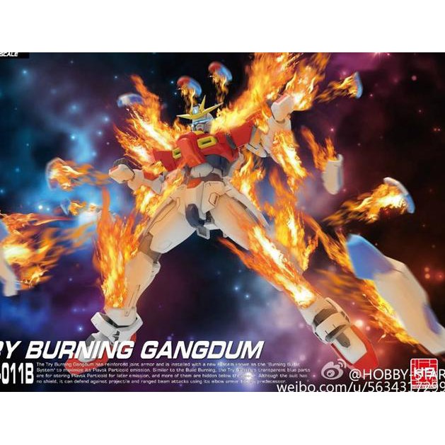 Limited.><zaj-634  HG TRY BURNING GANGDUM