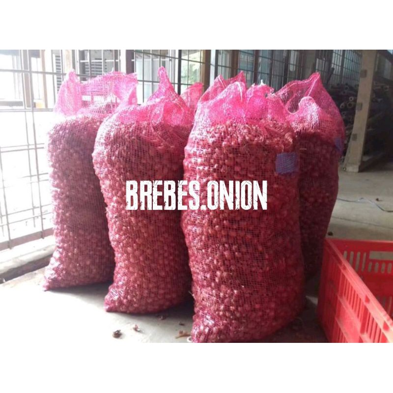 Bibit bawang merah asli Brebes 5 kg