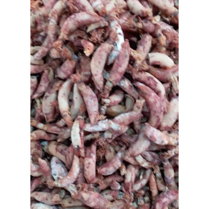 

cumi asin telur 1 kg