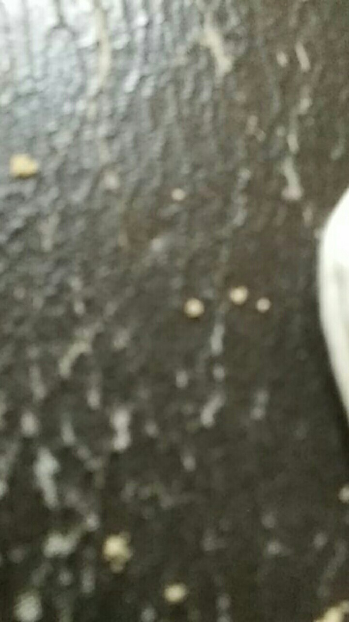 Payung Lipat 3 / Payung Mewah Dan Kuat Murah