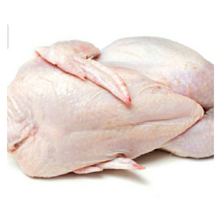 

ayam karkas 09-1kg