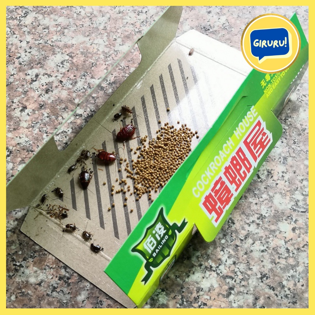 Lem Perangkap Kecoak Cicak / Lem Kecoak Cicak Obat Basmi Pembasmi / Racun Kecoak Cicak / Jebakan Kecoa Rumah Perangkap Kecoa Lem Kecoa Cockroach Control Pest Mirip Hoy Hoy Pembasmi Pembunuh Kecoa / PERANGKAP KECOA + UMPAN DAN RACUN PEMBASMI KECOA/ LEM