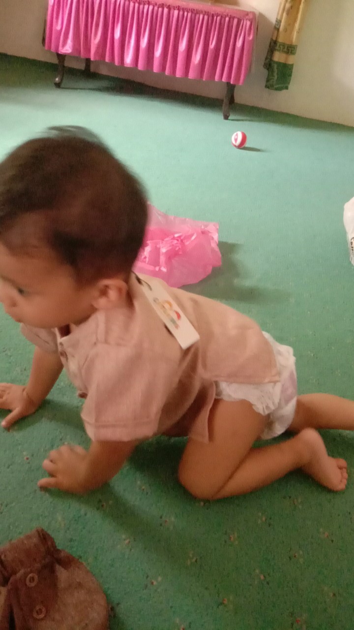 Baju Batik / Kemeja Batik  Pendek / Batik Pria / Batik Pekalongan / Batik Kranji