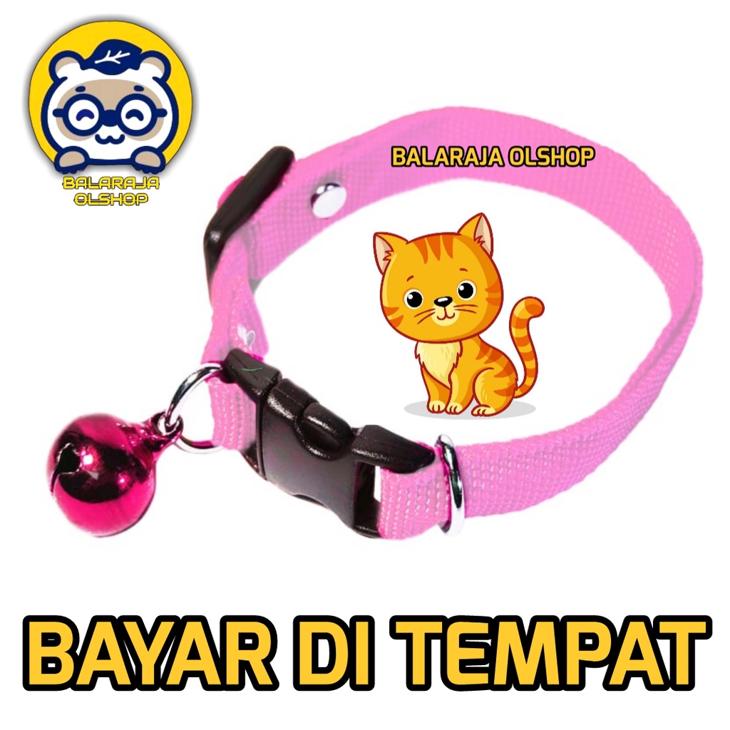 Kalung Kucing Musang Kelinci Polos Lonceng Ready Semua Warna