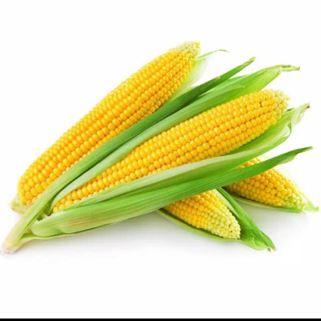 

Jagung per buah