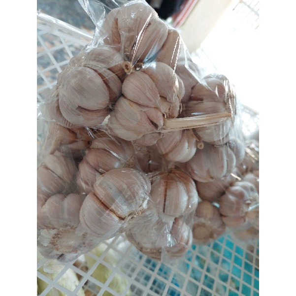 

Bawang Putih
