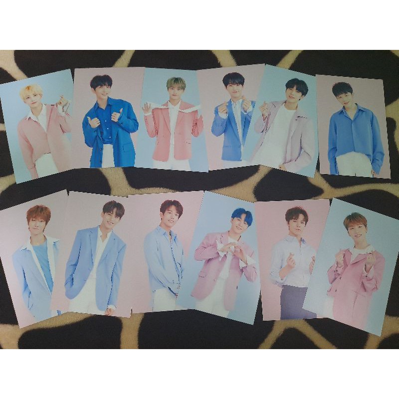 Photo Set Caratland Seventeen 2019