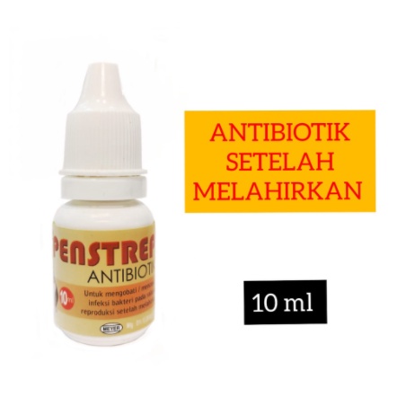 PENSTREP ANTIBIOTIK UNTUK KUCING ANJING SETELAH MELAHIRKAN / INFEKSI/LUKA LUAR DAN DALAM