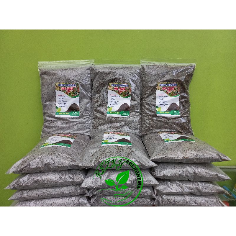 Media_Tanam_aglaonema