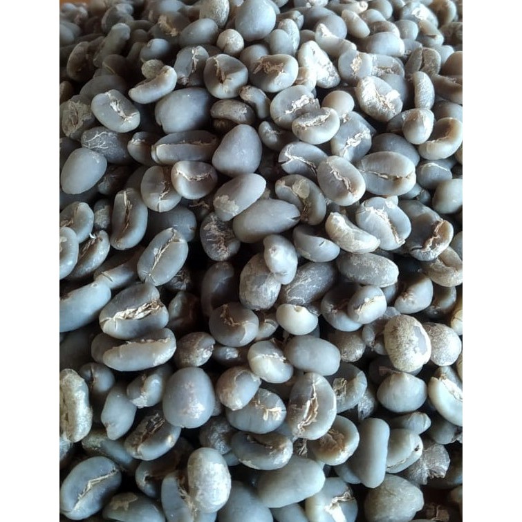 

Kopi Gayo Arabika Longberry Greenbeans