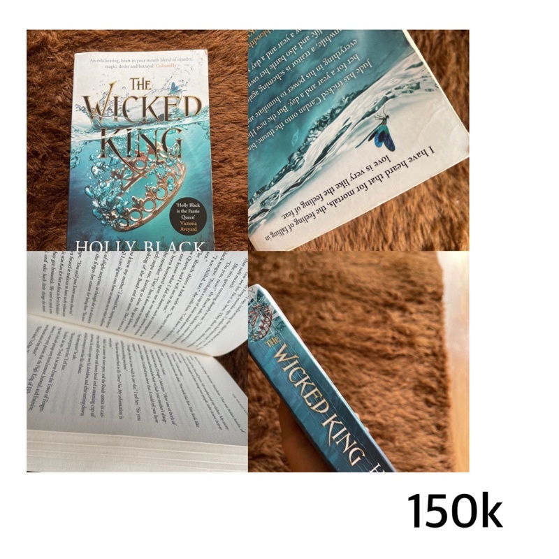 

fantasy novel