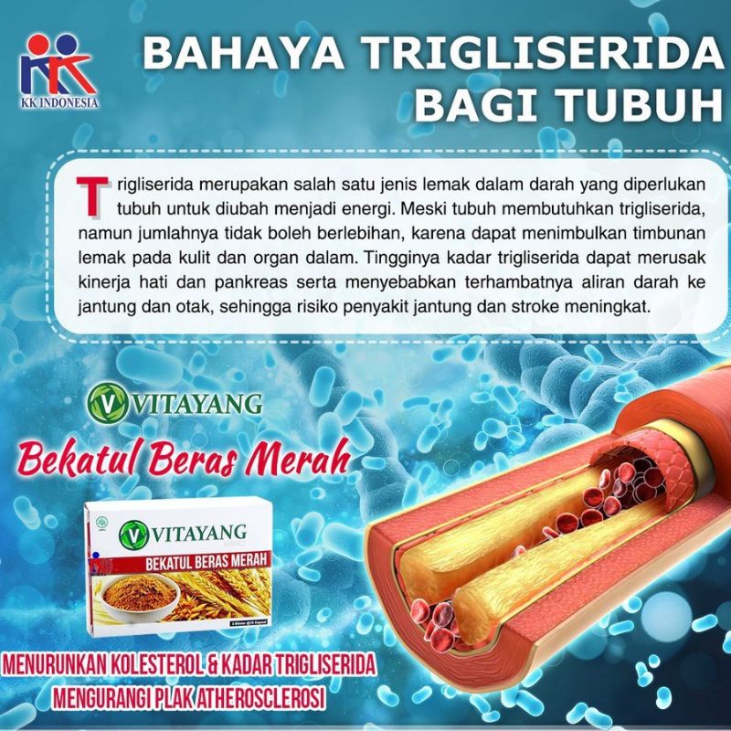 Vitayang Bekatul Beras Merah Obat Herbal kolesterol dan Darah tinggi suplemen kolesterol alami kk Indonesia