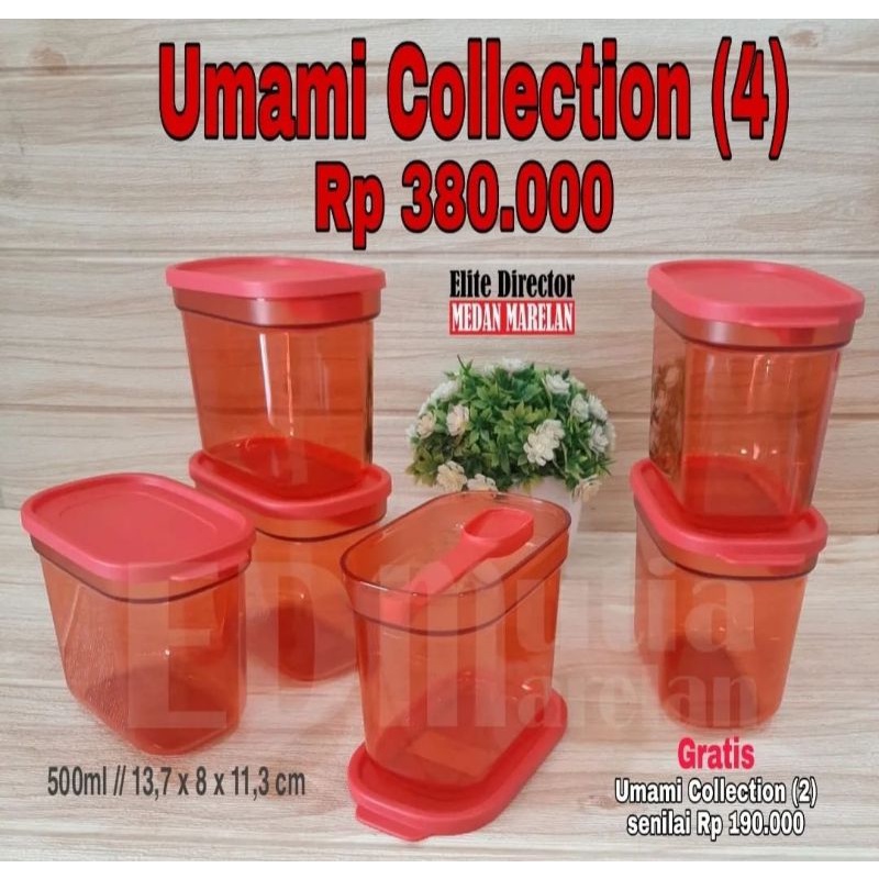 umami collection by tupperware
