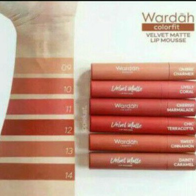 wardah colorfit velvet matte lip mousse