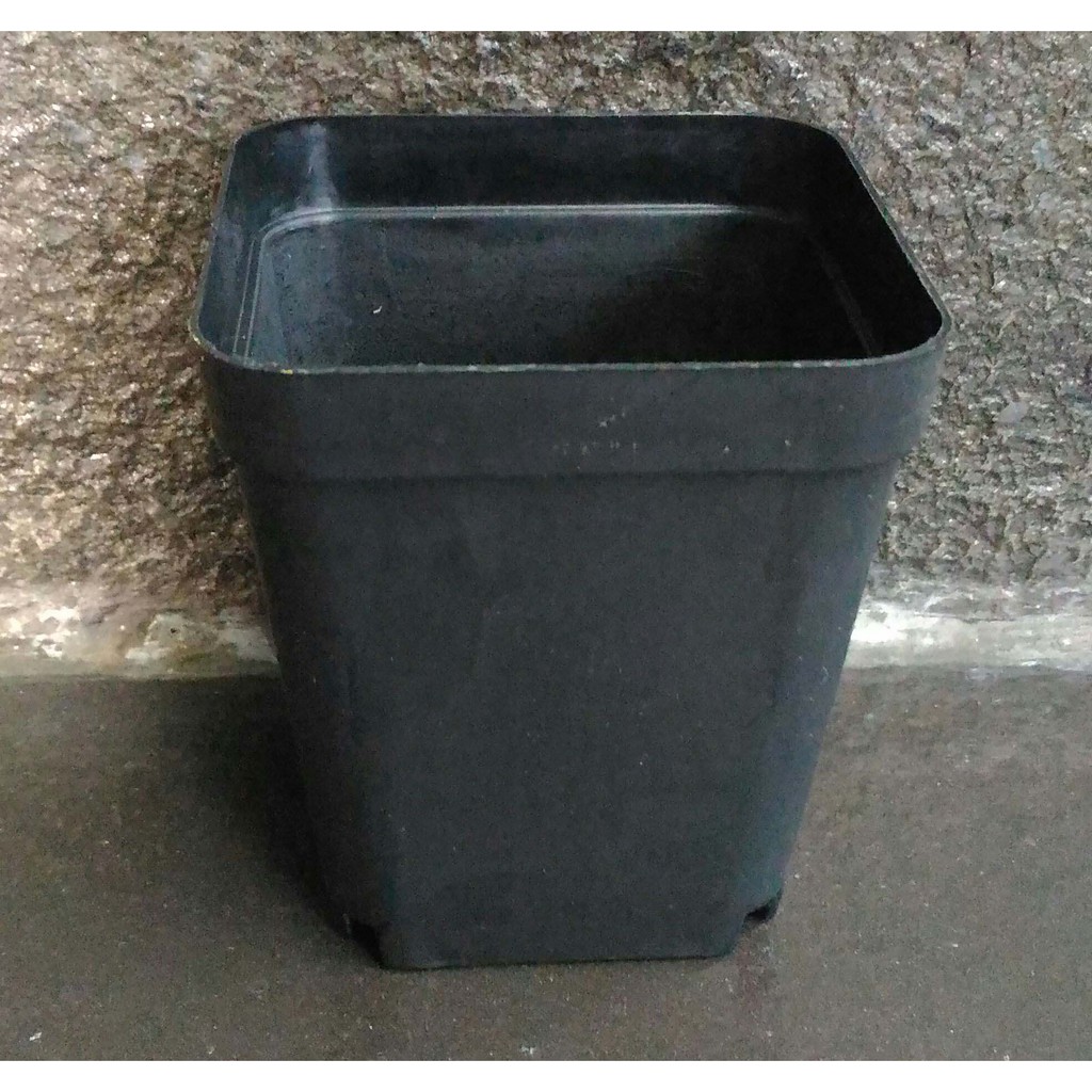 Terlaris Mini Pot Succulent Hitam Grosir