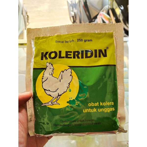 ANTIBIOTIK UNTUK UNGGAS KOLERIDIN