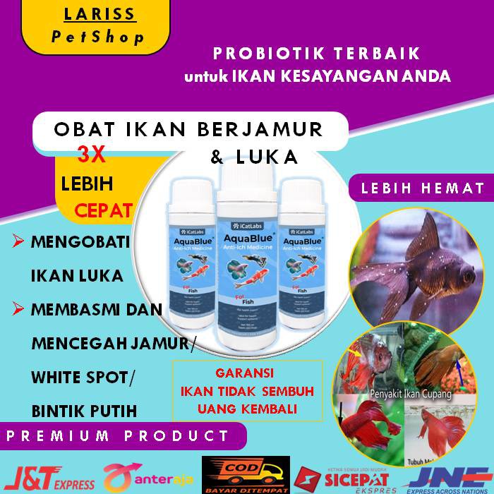 Obat Biru Ikan Cupang Guppy Blue Rim Sepasang Halfmoon Multicolor Black Samurai Serit 100 ml