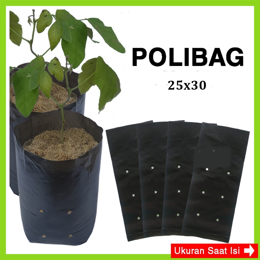 Polibag Ukuran 25x30 Isi 10 pcs