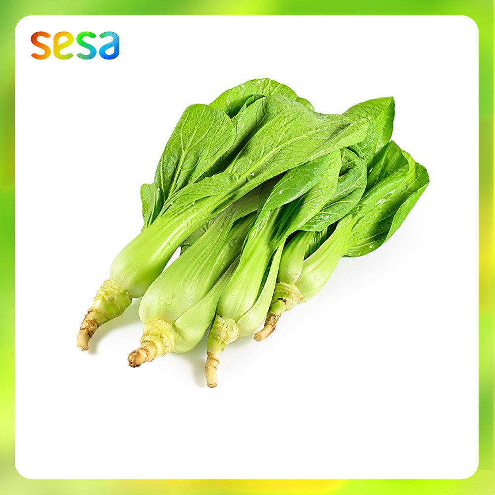

PAKCOY Organik 200gr - Sayur Fresh Sehat Segar
