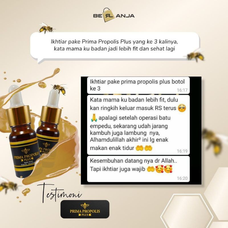 Propolis Berkualitas dari Lebah Hutan Nusantara