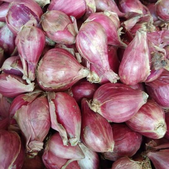

Christmas Sale⚡ Bawang Merah Brebes Super 1kg