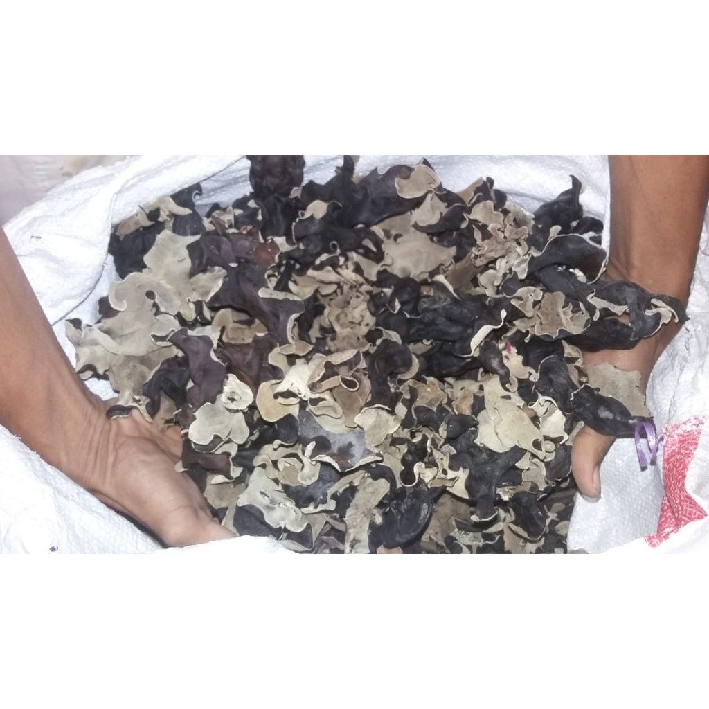 

Jamur Kuping Kering Bokni Bokji Hitam Dried Black Fungus 200gr