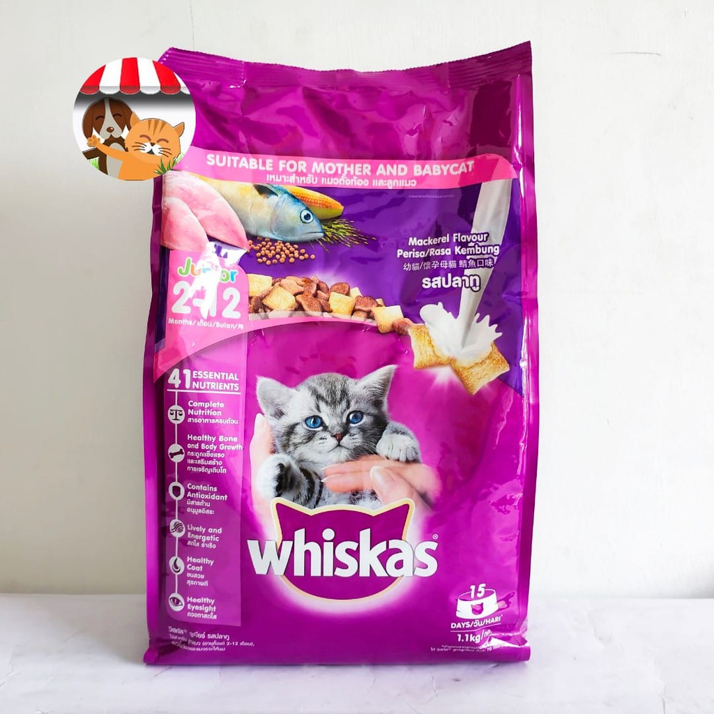 Whiskas Junior Mackerel 1.1kg - Whiskas Freshpack Makanan Kucing