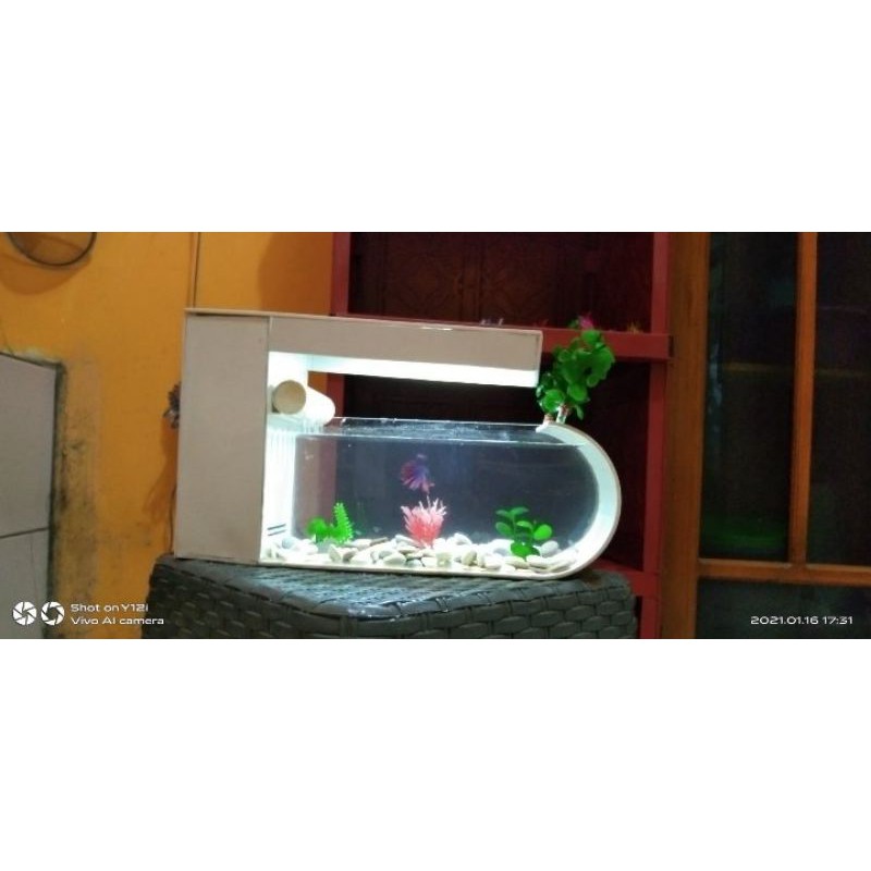 aquarium