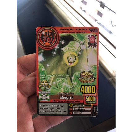 Animal Kaiser Bright