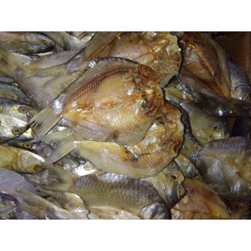 

ikan asin rarancak