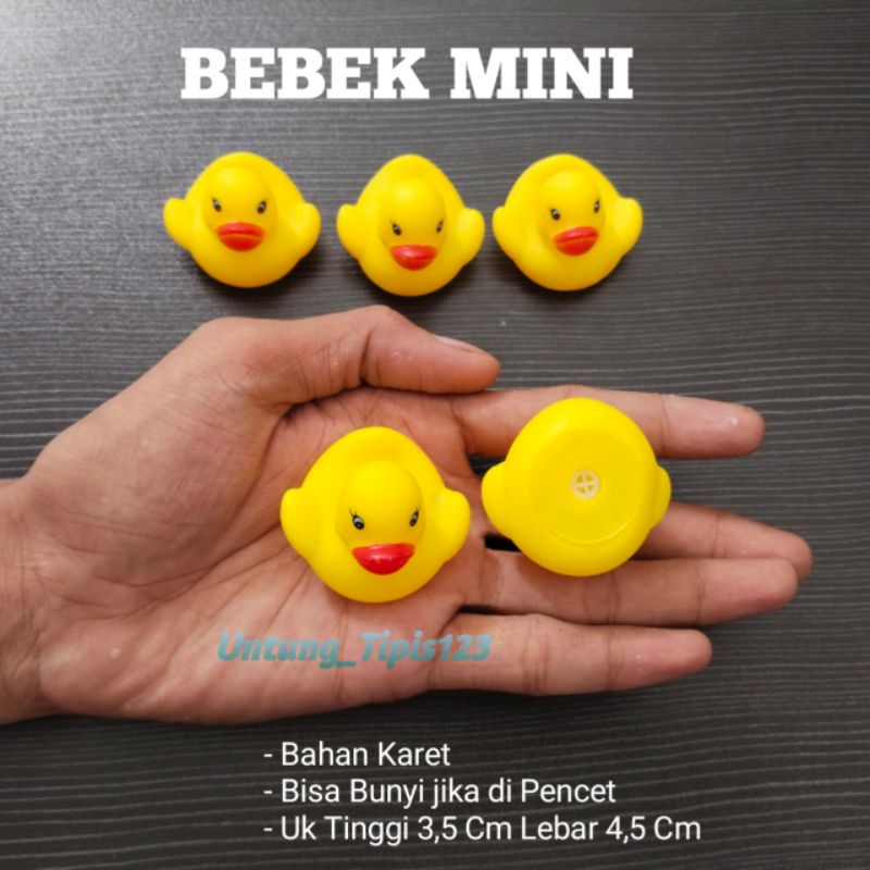 Mainan kucing mainan anjing Bebek karet bisa bunyi mainan gigit hewan alternatif cat toys