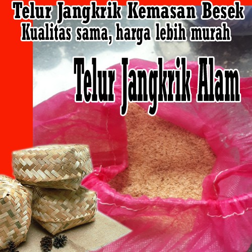 [Dipacking pake Besek] TELUR JANGKRIK ALAM 500gram dikemas dalam BESEK Harga Lebih Murah RAJAJANGKRI