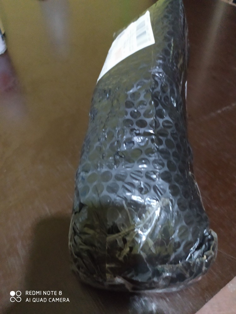 Lighter Gas Utu Atau Korek Api Panjang