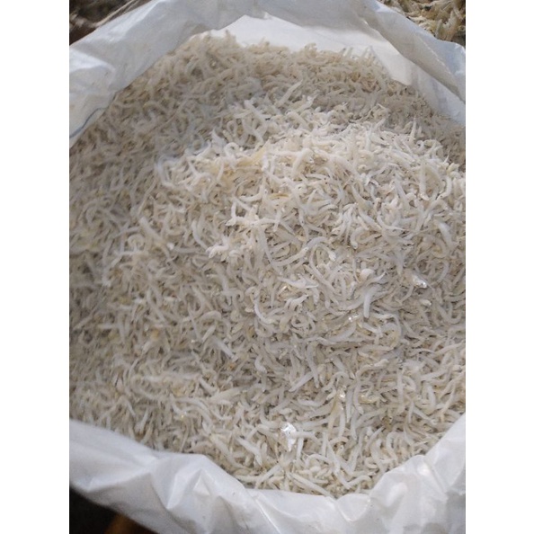 

TERI MEDAN SUPER REBUS LAUT TIDAK BEGITU ASIN TERI MEDAN LAMPUNG