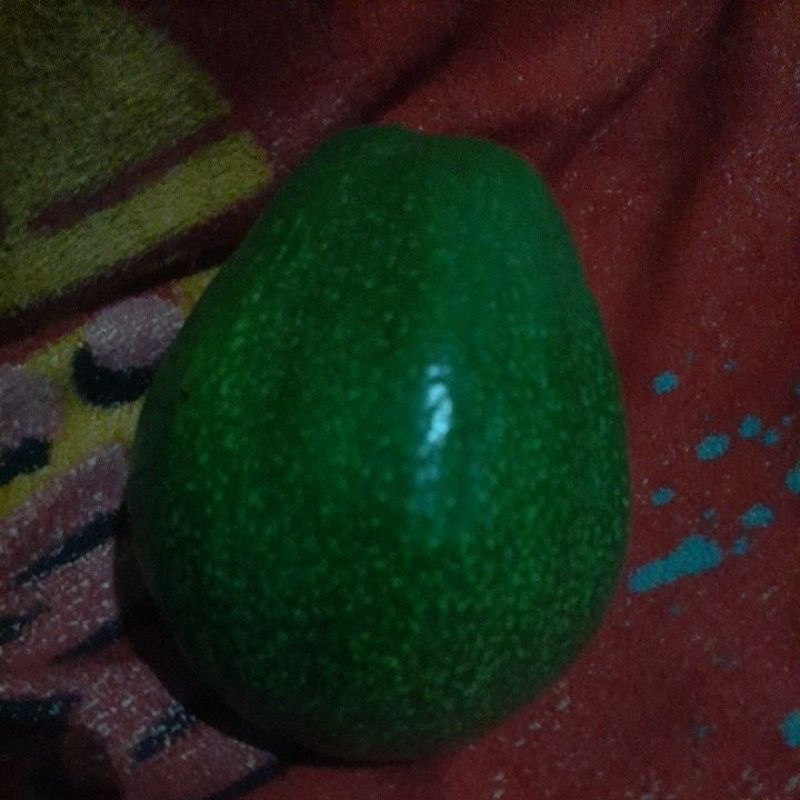 

Alfukat Mentega