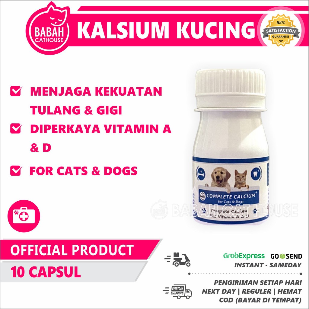 KALSIUM Kucing Obat Calcium Plus Anjing Vitamin Suplemen Cat 