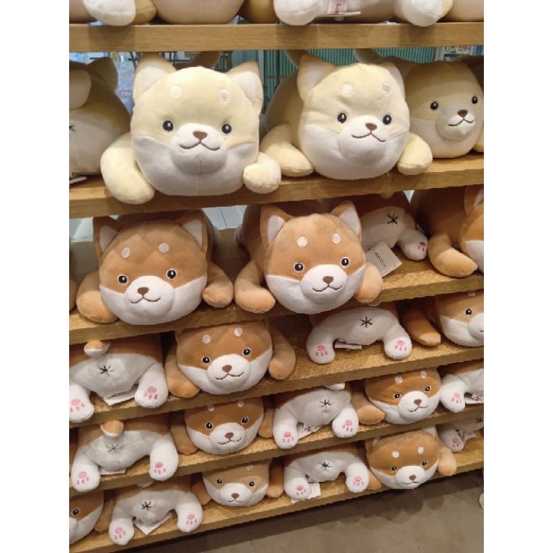 LYING SHIBA SERIES PLUSH TOY MINISO BONEKA SHIBA NEW ARRIVAL