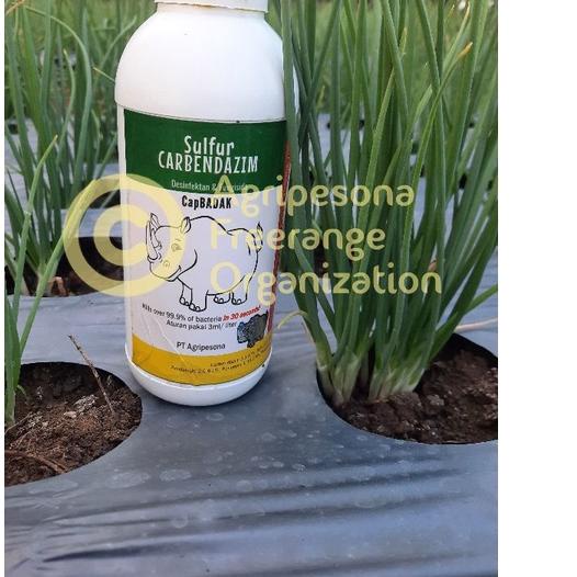 Laris|SQ15|Desinfektan + Fungisida CapBADAK 1liter