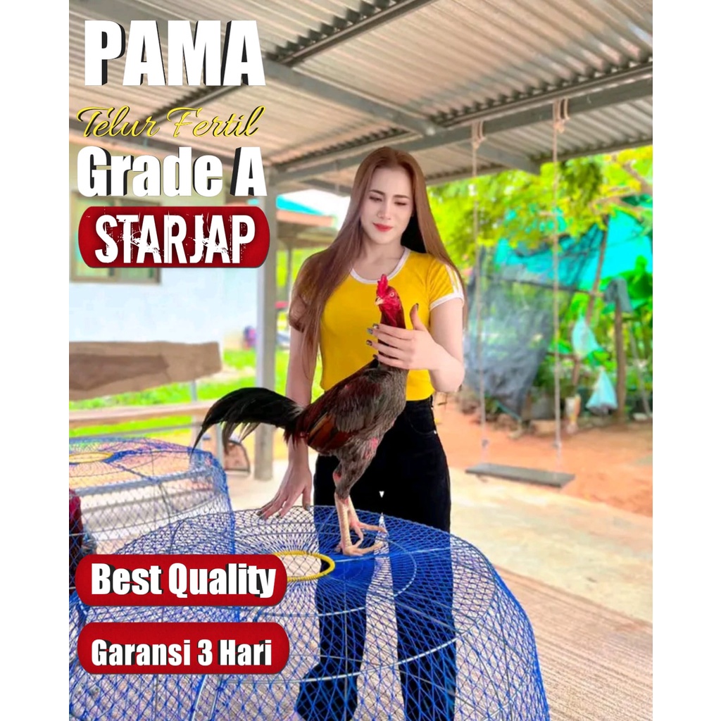 telur ayam bangkok thailand super PAMA atreet pukul saraf