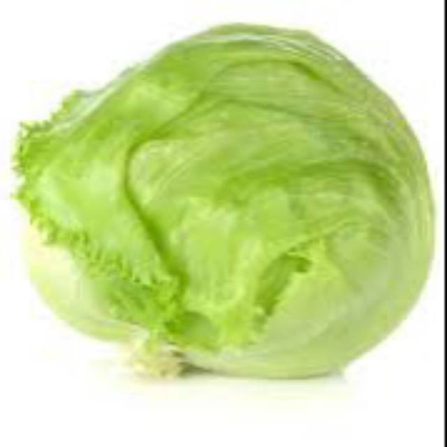 

Head lettuce