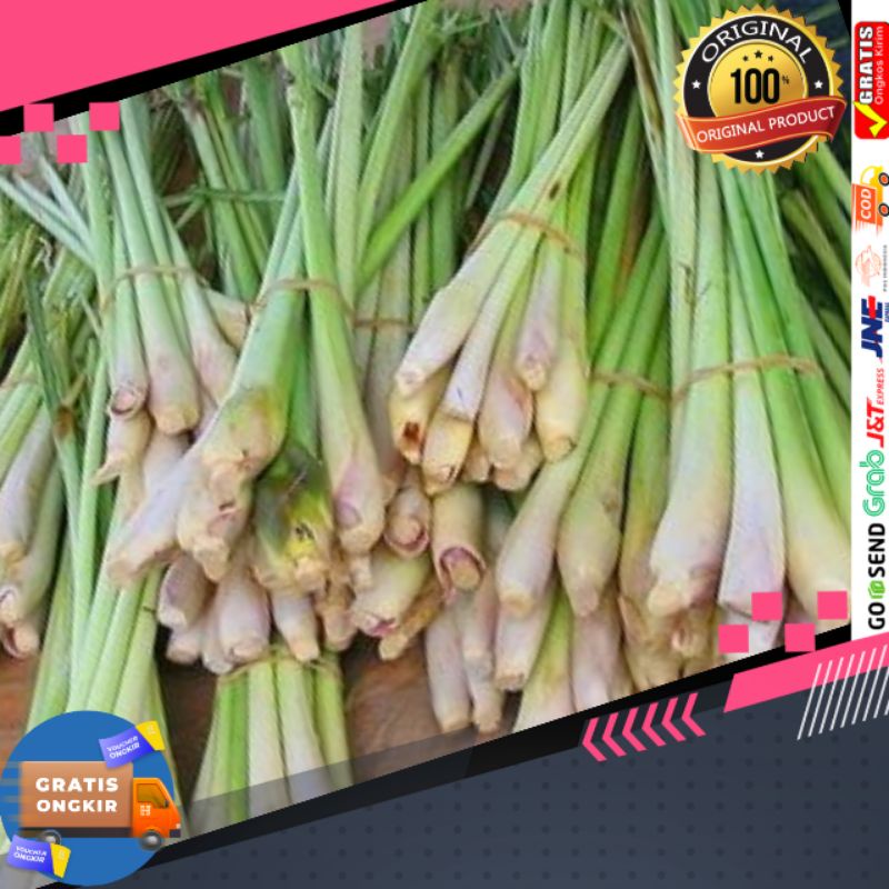 

Jual sereh segar perikat