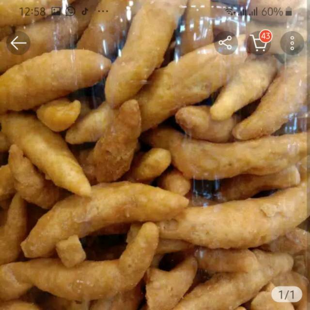 

TELUR GABUS POLOS