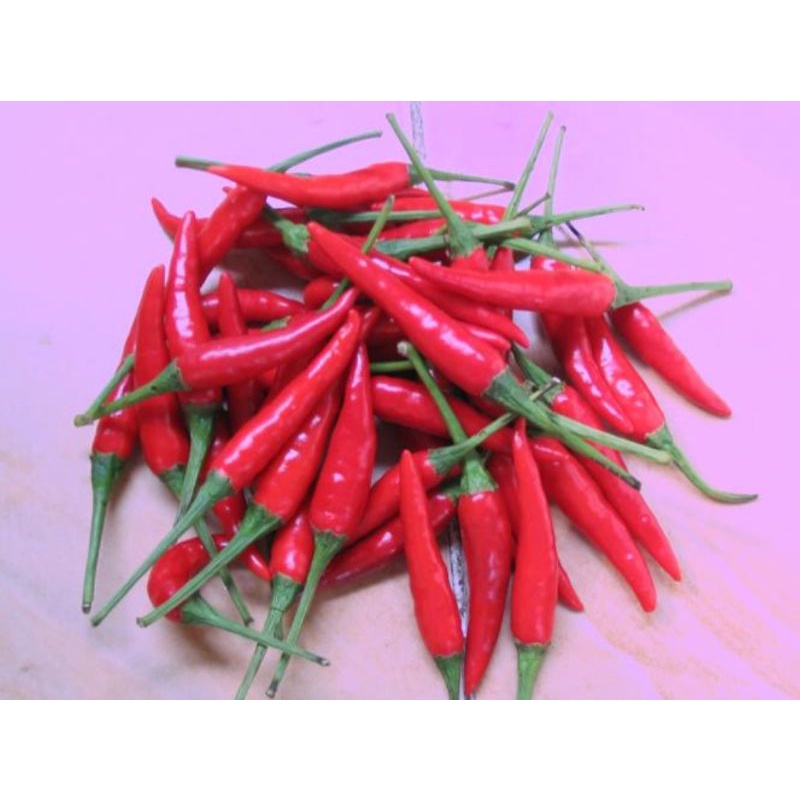 

CABAI TAJI MERAH LOKAL 250 GRAM