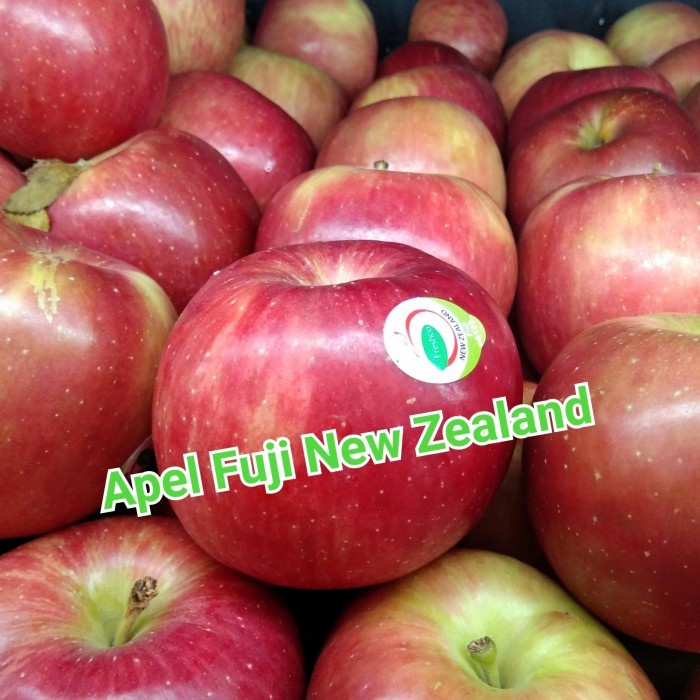 

BUAH APEL FUJI NEW ZEALAND (0,9-1 KG)