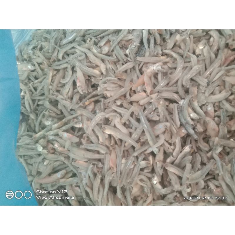 

ikan teri okang asli Kota Tanjungbalai sumut